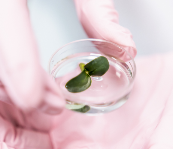Подготовка к ЭКО в EVACLINIC IVF