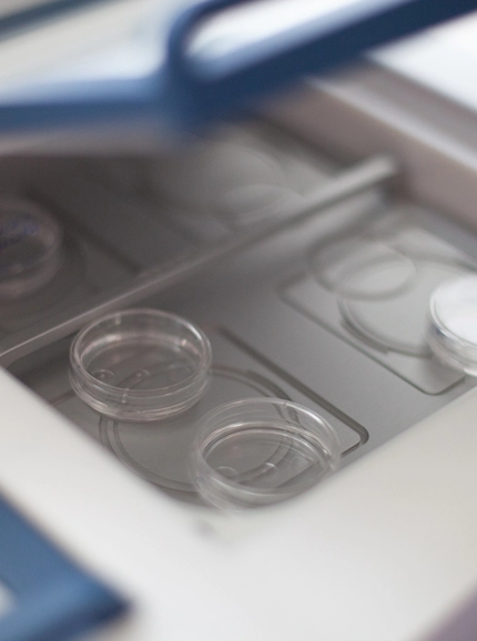 Банк донорских репродуктивных клеток