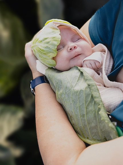 Программы ЭКО